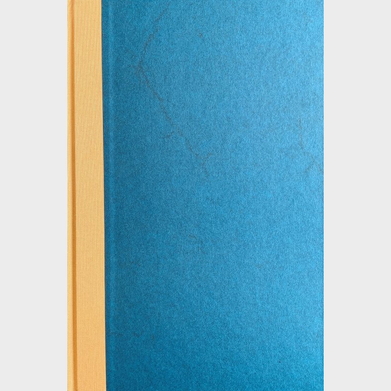 Boethii Daci Aliorumque Sophismata - Boethius De Dacia - Latin Bog