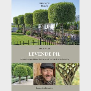 Bogen Om Levende Pil - Heinrich Braun - Bog