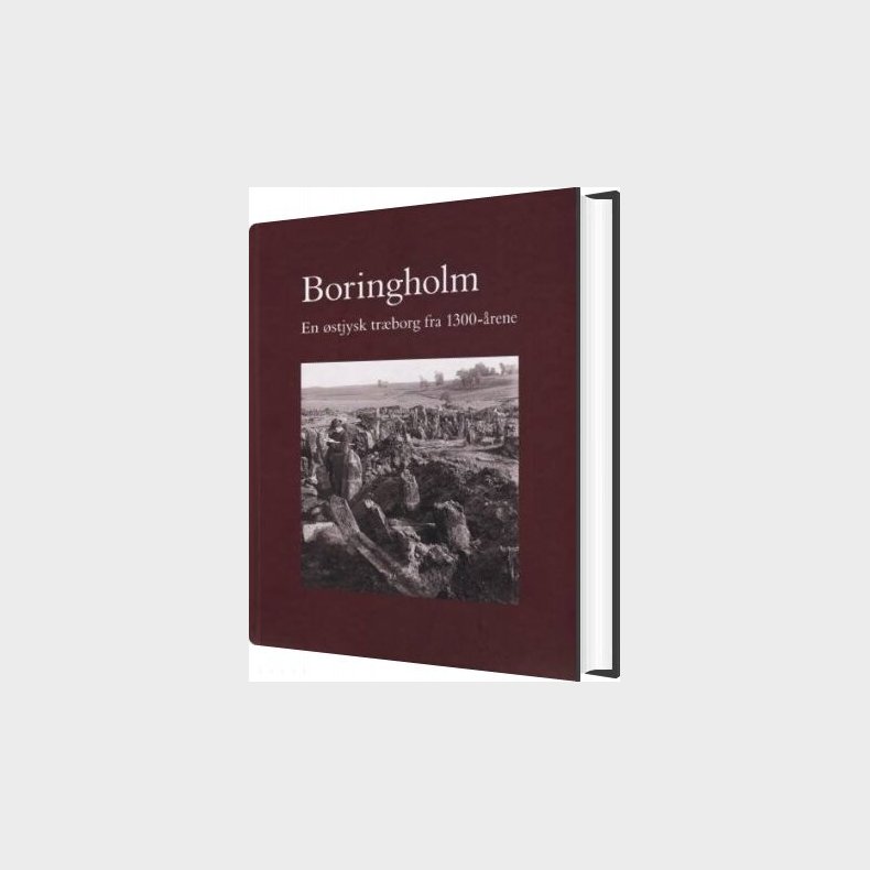 Boringholm - Else Roesdahl - Bog