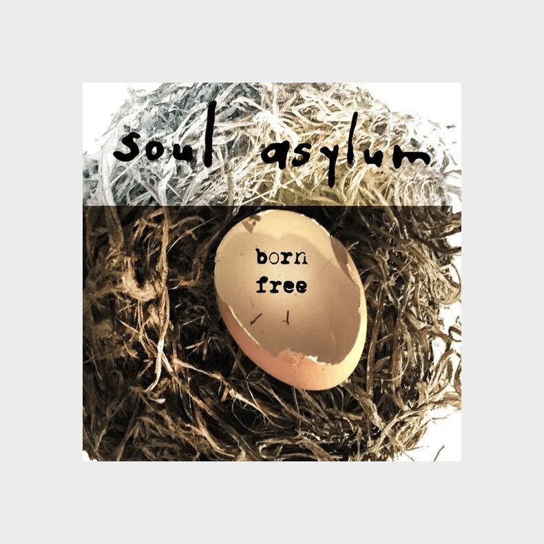 Soul Asylum - Born Free - Vinyl Lp