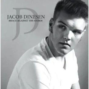 Jacob Dinesen - Brace Against The Storm - Vinyl Lp
