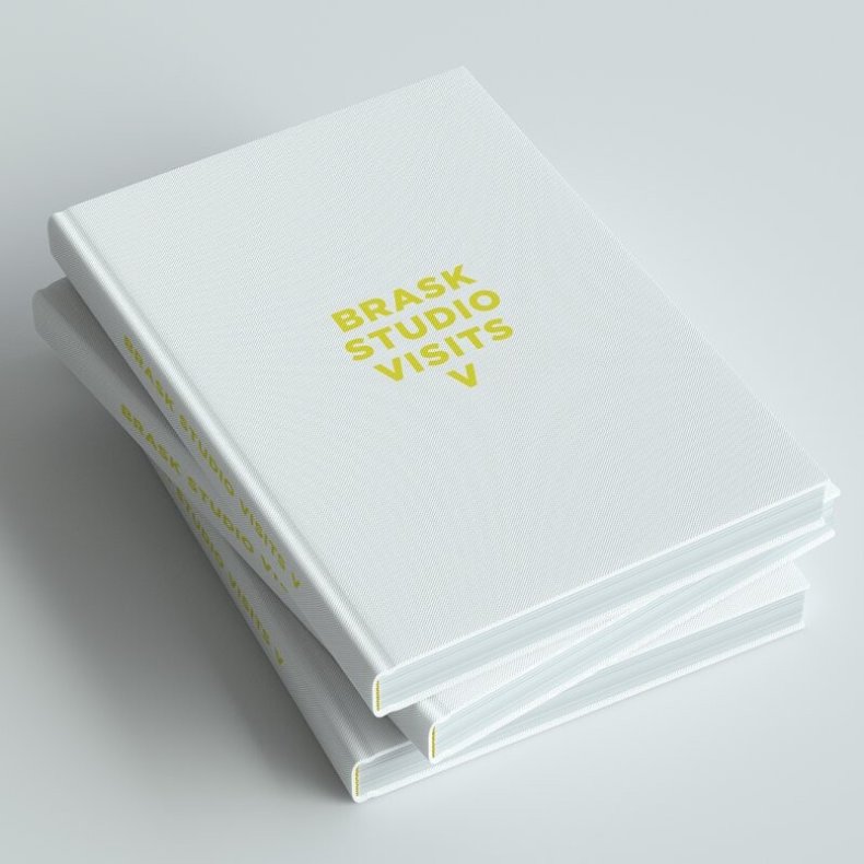 Brask Studio Visits V - Jens-peter Brask - English Book