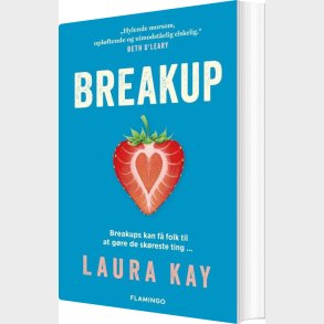 Breakup - Laura Kay - Bog