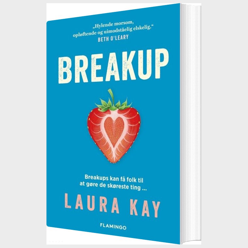 Breakup - Laura Kay - Bog
