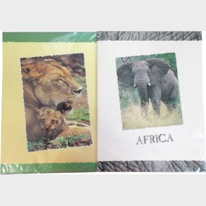 Brevpapir Africa 10 Ark + 5 Konv - Rheita