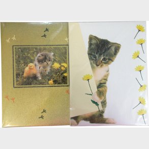 Brevpapir Katte 10 Ark + 5 Konv - Rheita