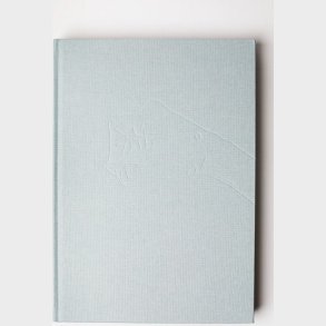 Brevstemmer - Vibeke Rnsbo - Bog