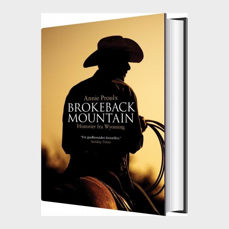 Brokeback Mountain - Historier Fra Wyoming - Annie Proulx - Bog