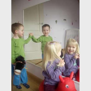 Brudsikkert spejl - Gigant