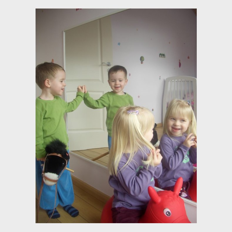 Brudsikkert spejl - Gigant