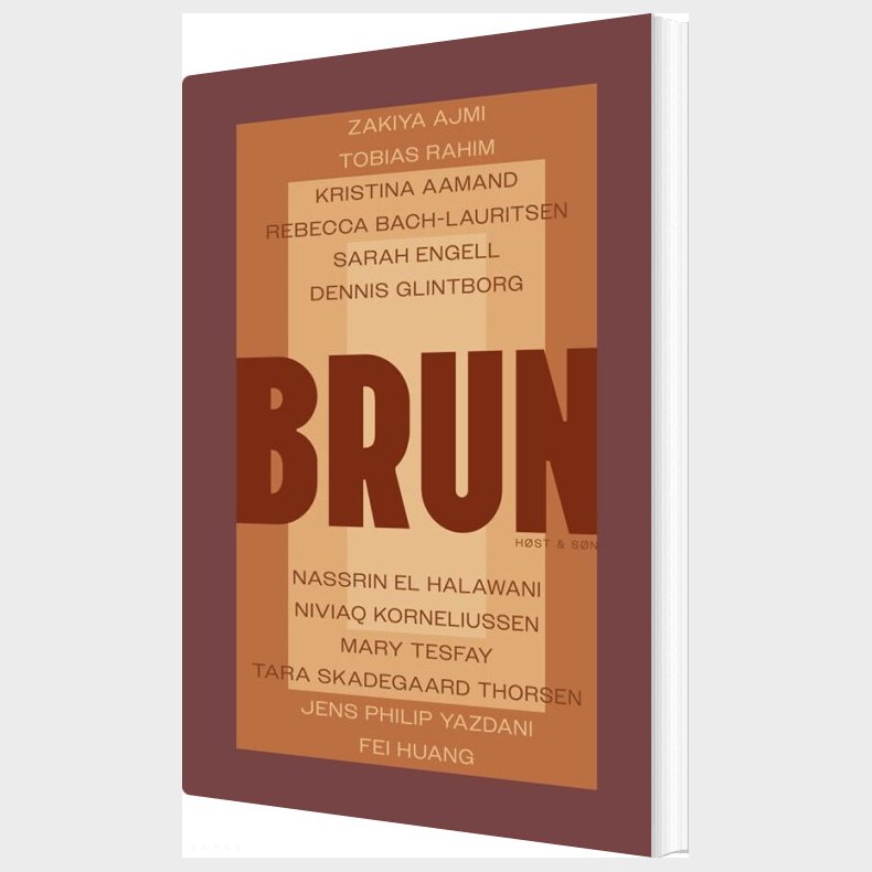 Brun - Sarah Engell - Bog