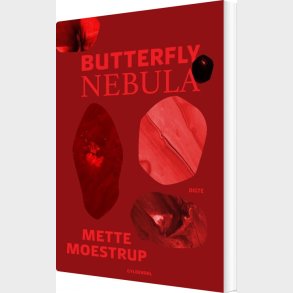 Butterfly Nebula - Mette Moestrup - Bog