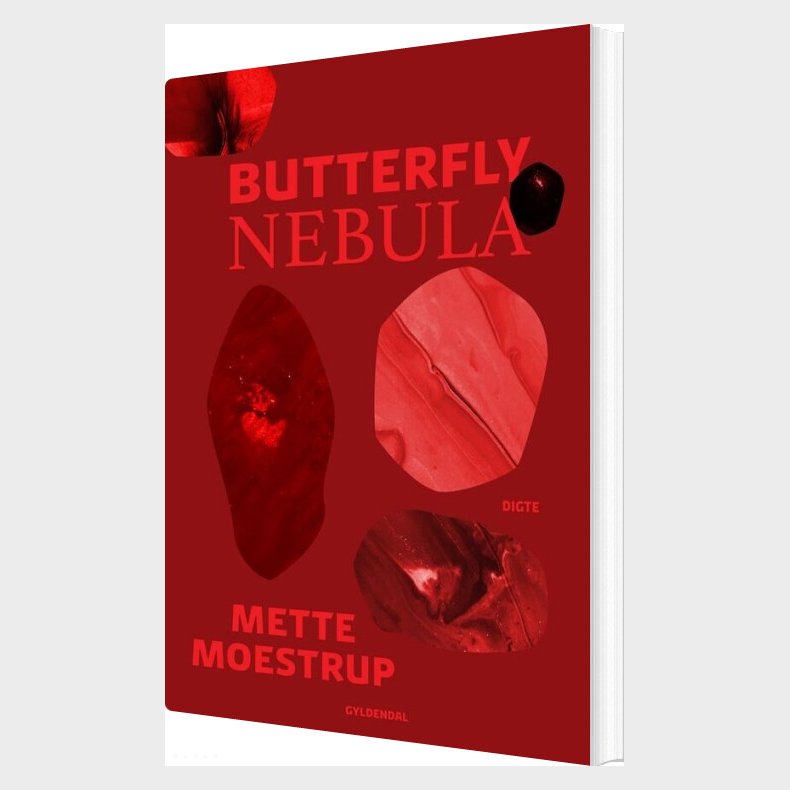 Butterfly Nebula - Mette Moestrup - Bog