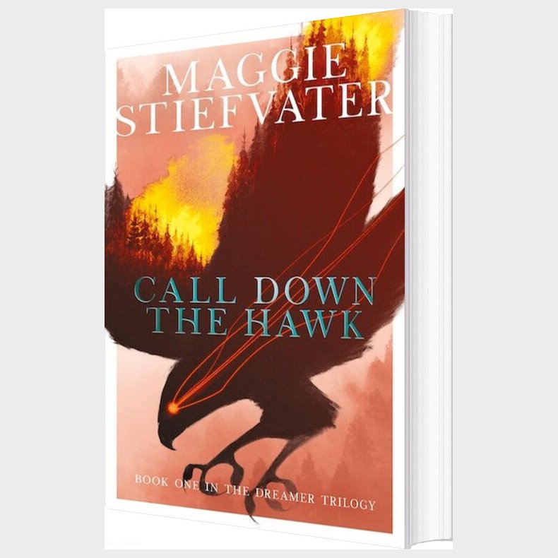 Call Down The Hawk - Maggie Stiefvater - English Book