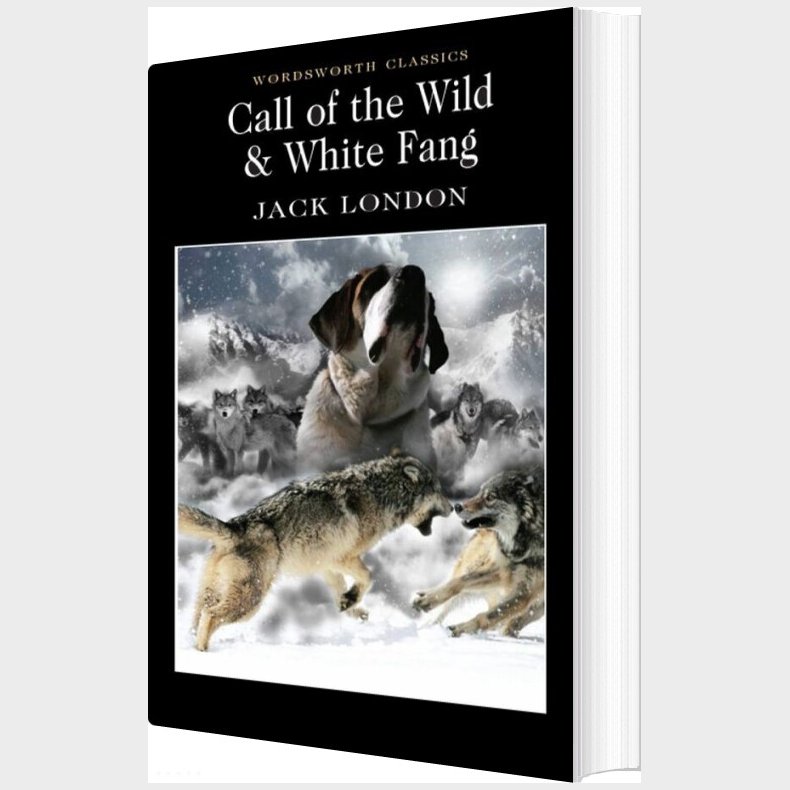 Call Of The Wild & White Fang - Wordsworth Classics - Jack London - English Book