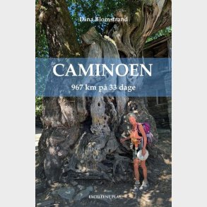 Caminoen - Dina Blomstrand - Bog