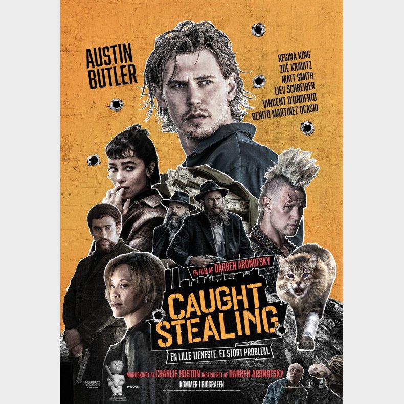 Caught Stealing - DVD - Film