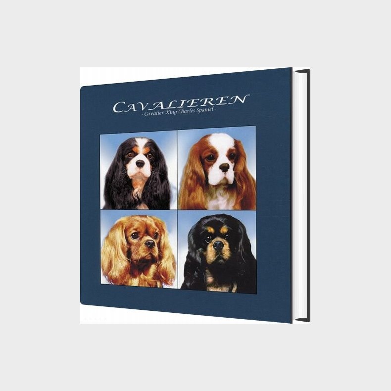 Cavalieren - Erik Fritzb�ger - Bog