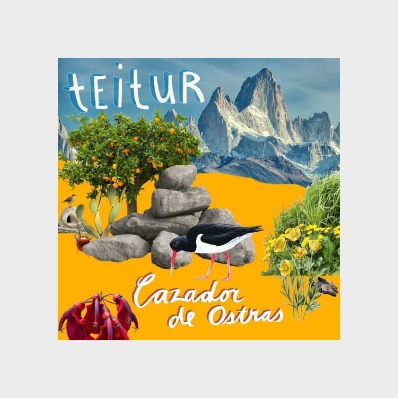 Teitur - Cazador De Ostras - Vinyl Lp