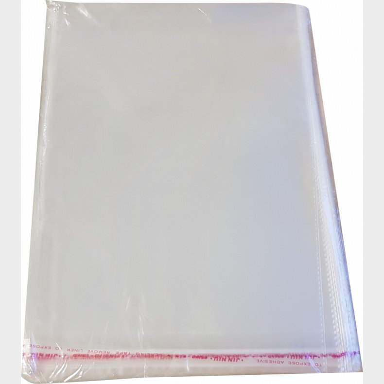 Cellofanpose 220 X 300 Mm - A4 100 Stk