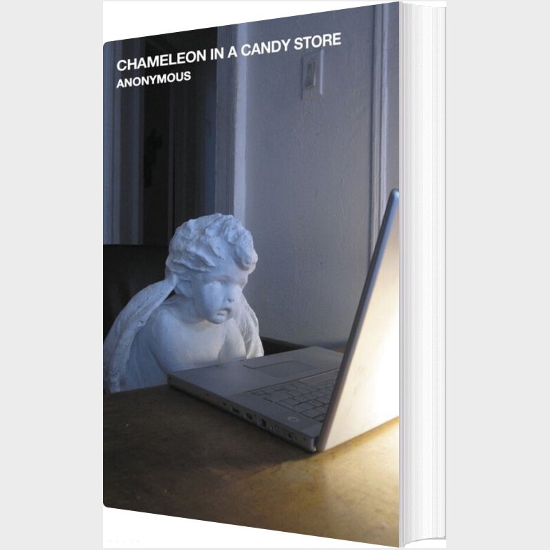 Chameleon In A Candy Store - Anonymous - English Book