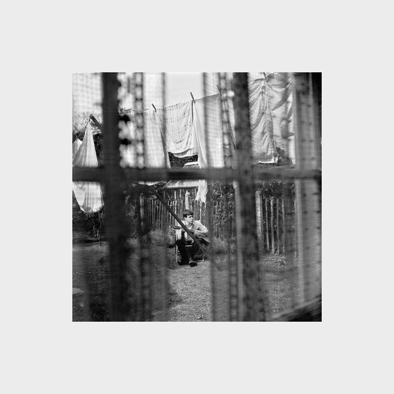 Paul Mccartney - Chaos And Creation In The Backyard - Vinyl Lp