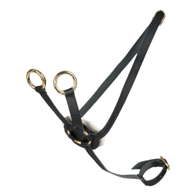 Cheval Roi | Cheval Roi tilbehr - Martingal, Sort/guld