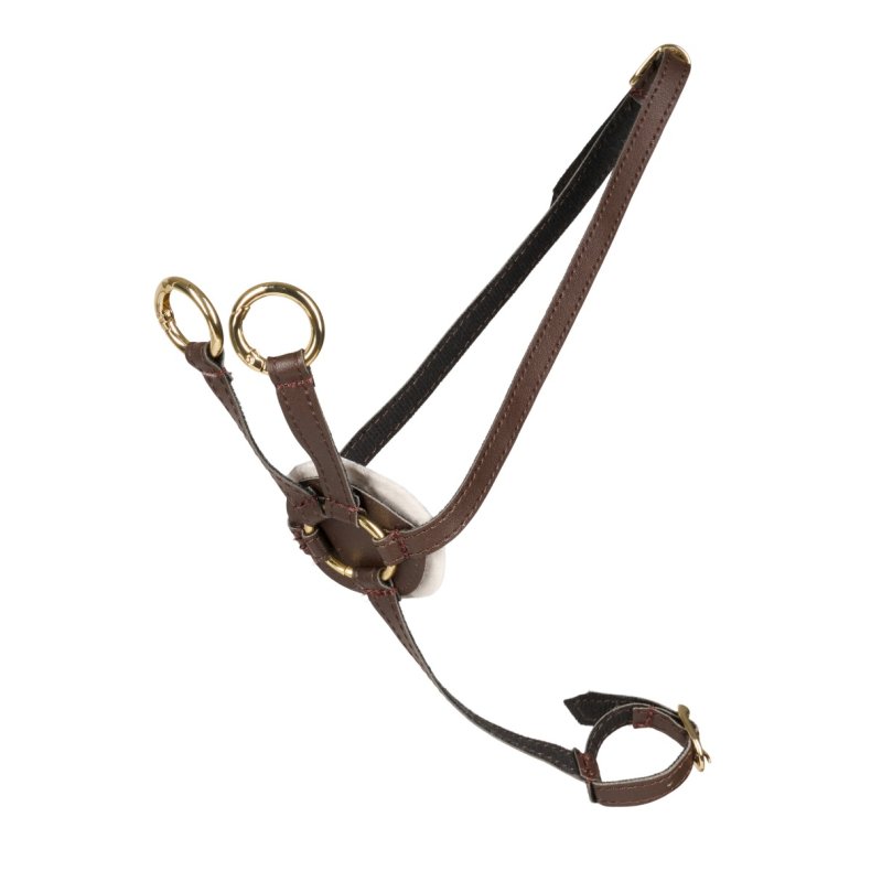 Cheval Roi | Cheval Roi tilbehr - Martingal, Brun/guld