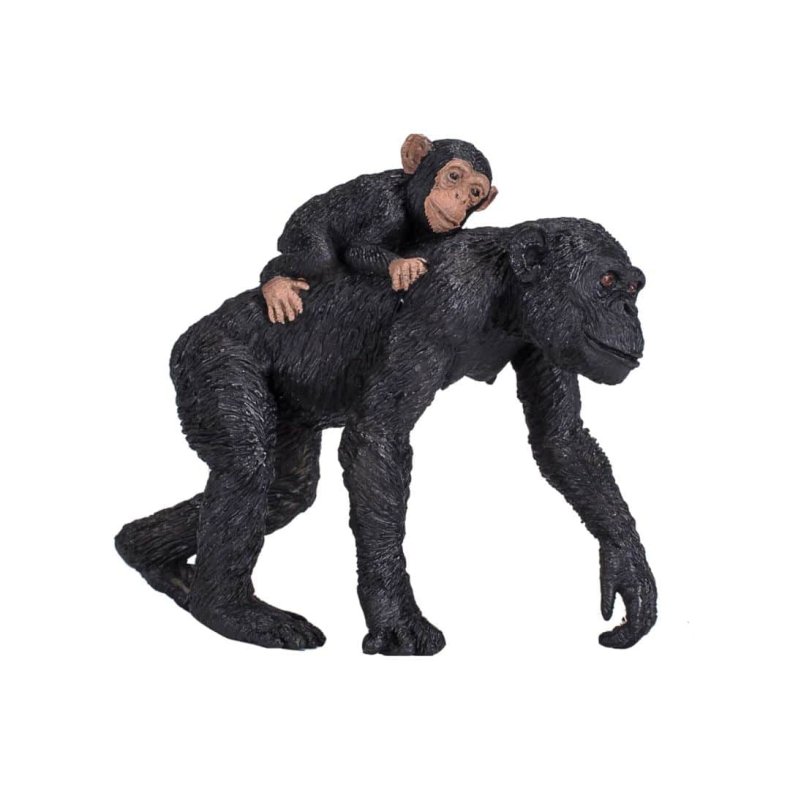 Chimpanse og unge - Mojo