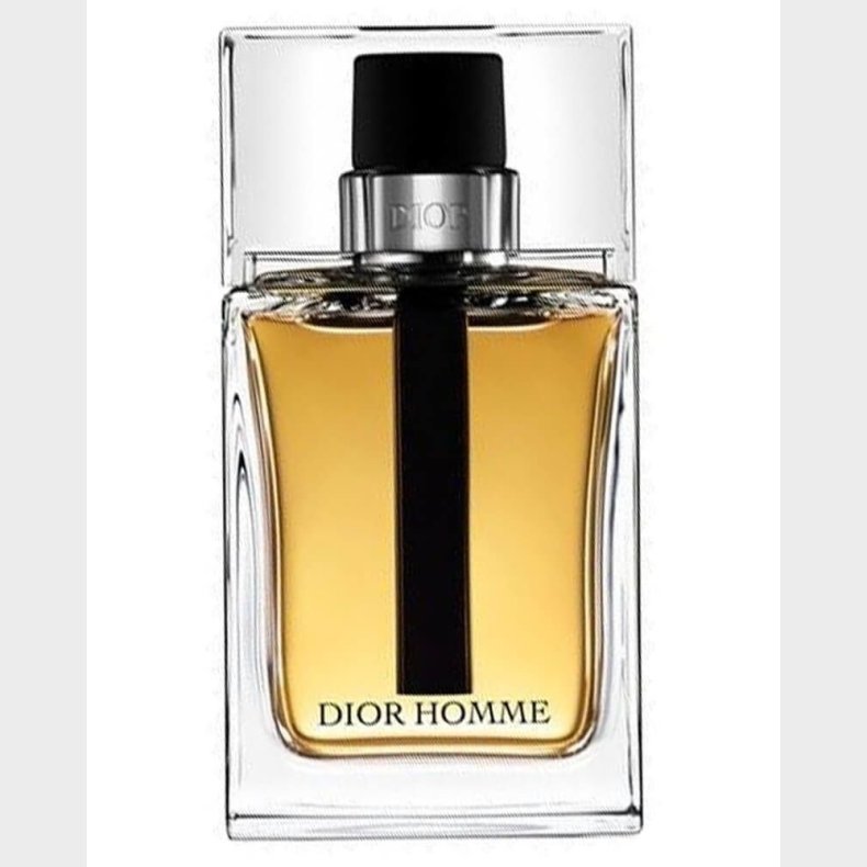 Christian Dior Edt - Homme - 100 Ml.