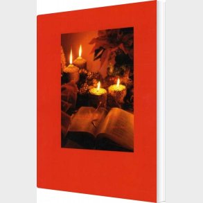 Christmas Stories For Everybody - Jette Steen - Bog