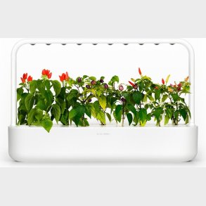 Click And Grow - Smart Garden 9 Starter Kit (color: White) (sg9s1uni)
