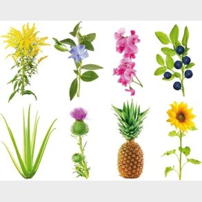 Click And Grow - Smart Garden Refill 3-pack - Experimental (sgr0x3)