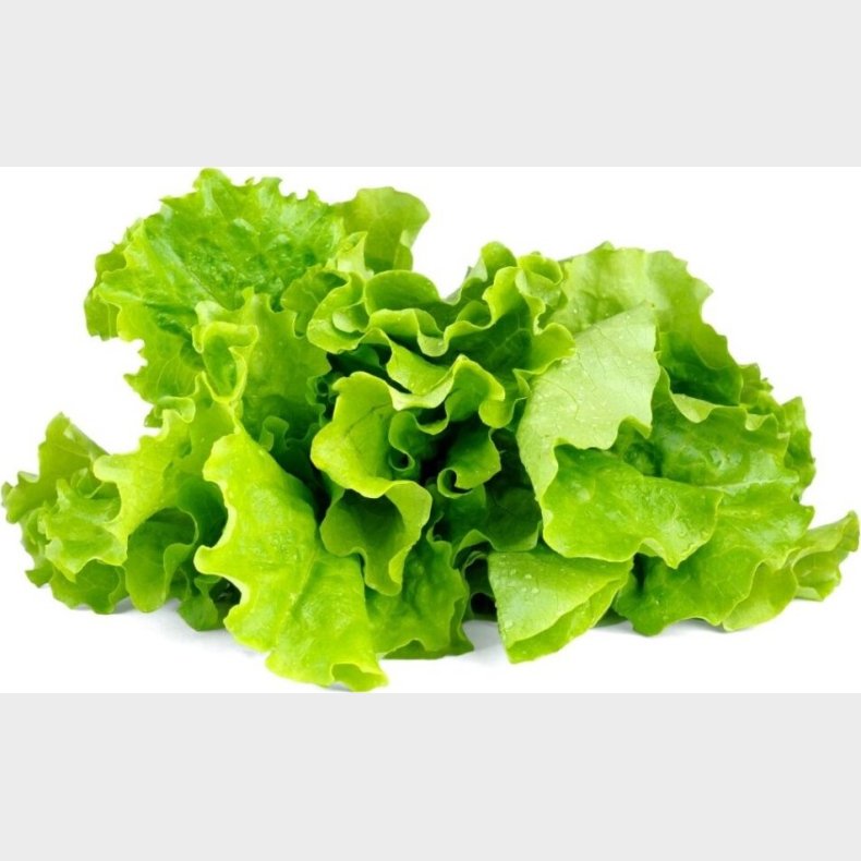 Click And Grow - Smart Garden Refill 3-pack - Green Lettuce (sgr32x3)