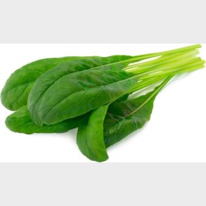 Click And Grow - Smart Garden Refill 3-pack Mibuna