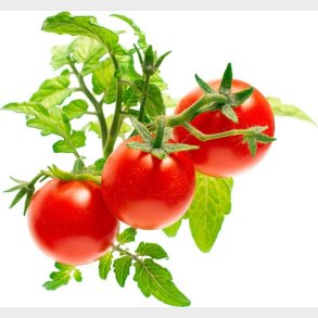 Click And Grow - Smart Garden Refill 3-pack - Mini Tomato (sgr5x3)
