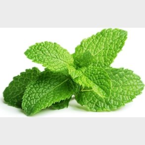 Click And Grow - Smart Garden Refill 3-pack - Peppermint (sgr22x3)