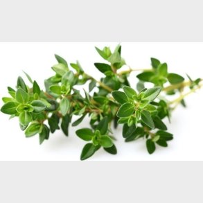 Click And Grow - Smart Garden Refill 3-pack - Thyme (sgr17x3)