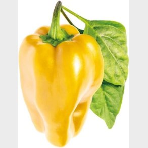 Click And Grow -  Smart Garden Refill 3-pack - Yellow Sweet Peppers (sgr53x3)