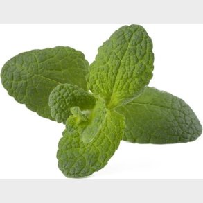 Click And Grow - Smart Garden Refill 3-pak - blemynte