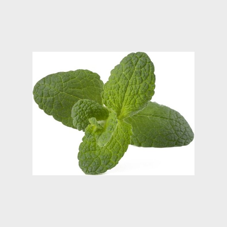 Click And Grow - Smart Garden Refill 3-pak - blemynte