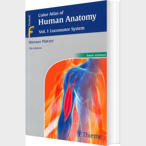 Color Atlas Of Human Anatomy Vol. 1: Locomotor System - Werner Platzer - English Book
