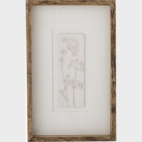 Creative Collection - Mey Illustration Med Ramme - Natur - Fyrretr