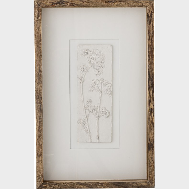 Creative Collection - Mey Illustration Med Ramme - Natur - Fyrretr