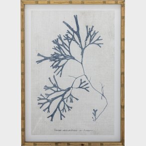 Creative Collection - Sumner Illustration Med Ramme - Natur - Fyrretr