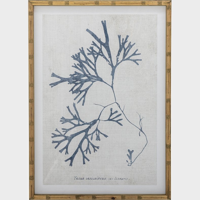 Creative Collection - Sumner Illustration Med Ramme - Natur - Fyrretr