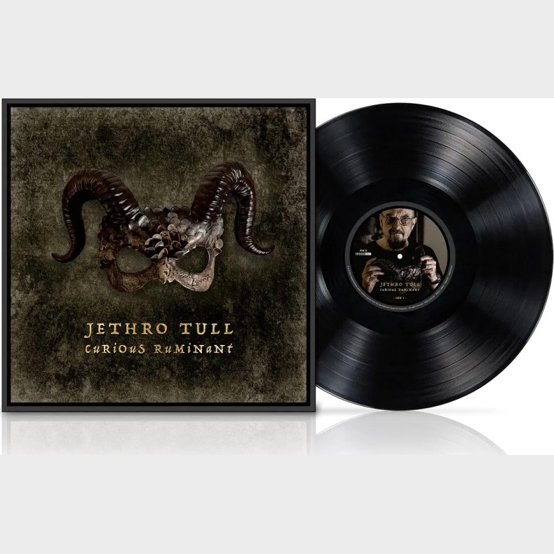 Jethro Tull - Curious Ruminant - Vinyl Lp