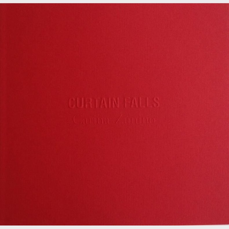 Curtain Falls - Carina Zunino - English Book