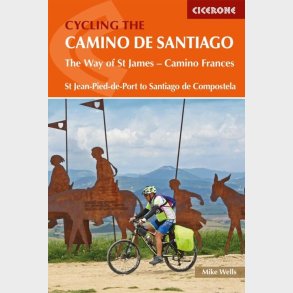 Cycling The Camino De Santiago - Mike Wells - English Book