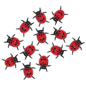 InsectLore | Mariehns, 12 stk